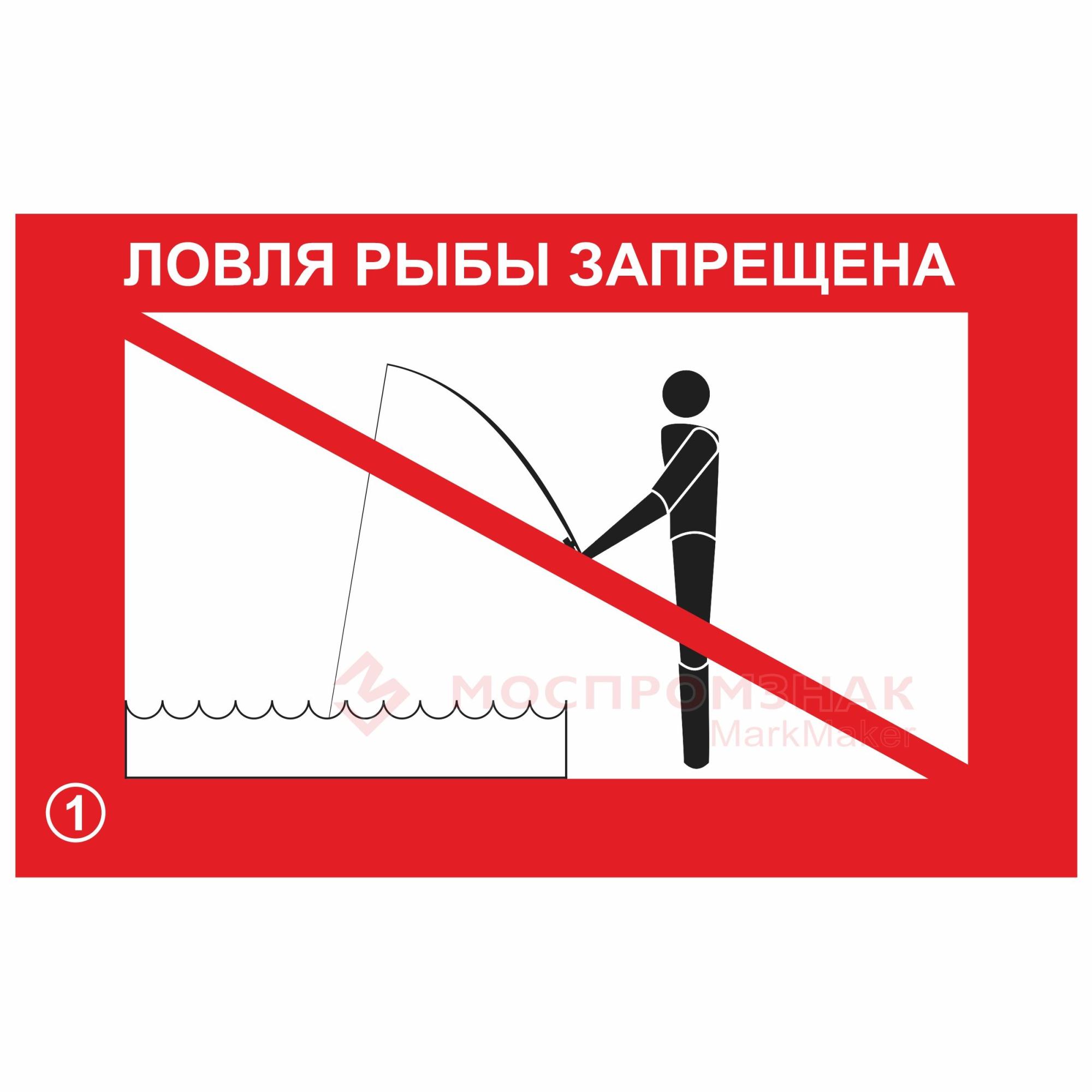 В каких областях запрещено ловить рыбу